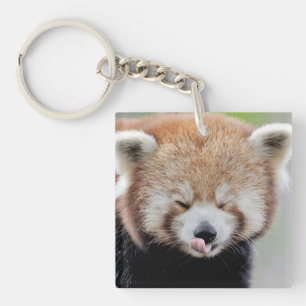 Schlüsselanhänger Fotografie roten Panda.