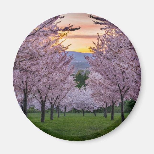 Schlüsselanhänger Magnet (Vorne)