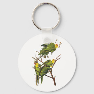 Schlüsselanhänger: Parakeet - durch John Audubon Schlüsselanhänger