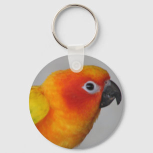 Schlüsselanhänger Sun Conure