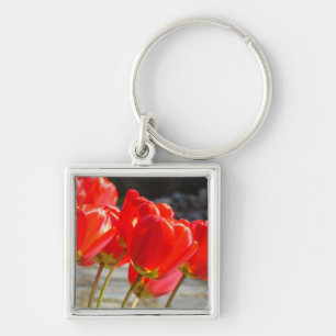 Schlüsselanhänger Tulpenblumen Rote Tulpen Schlüss