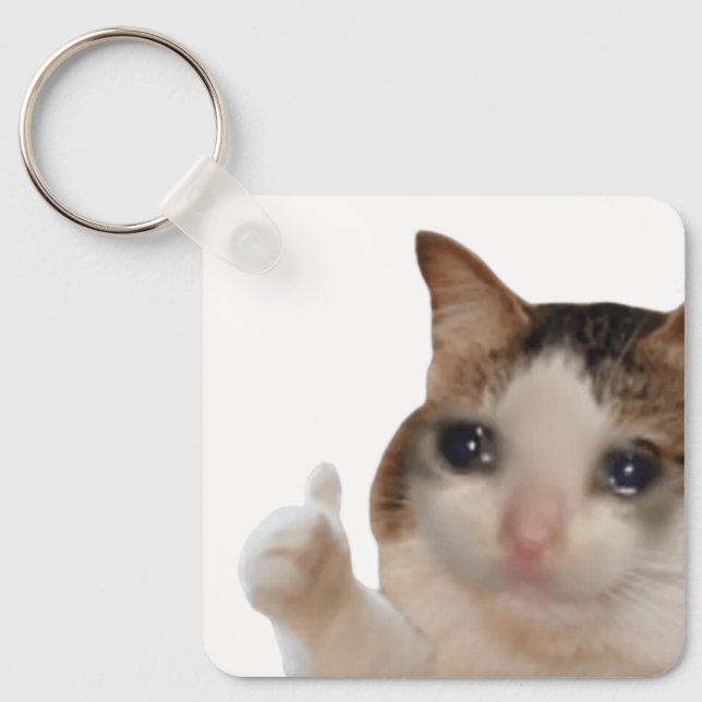 Schlüsselanhänger wirft Ok Cat Meme auf (Vorderseite)