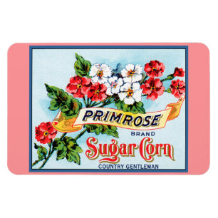 Schlüsselblumen-Blumen Vintage-Kisten-Etikett Kuns Magnet