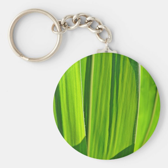 Schlüsselger Grüne Maisi Schlüsselanhänger (Vorne)