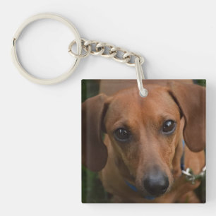 Schlüsselkette der Dackel Schlüsselanhänger