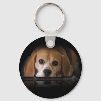 Schlüsselkette für Beagle Schlüsselanhänger