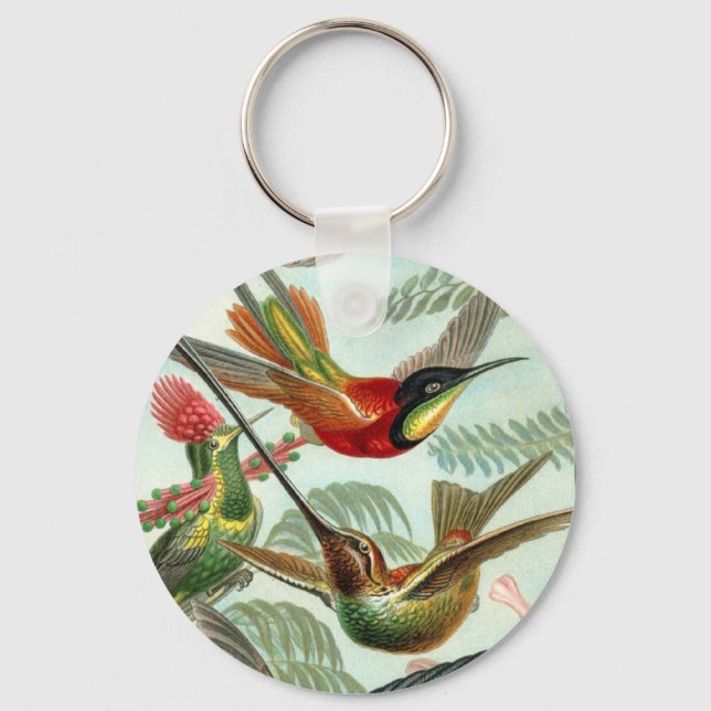 Schlüsselkette für Hummingvogel Schlüsselanhänger (Vorderseite)