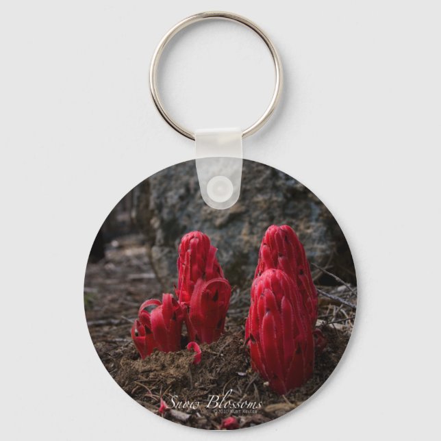 Schlüsselkette für Schneebesen Schlüsselanhänger (Vorderseite)