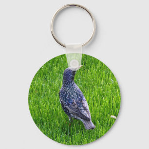 Schlüsselkette für Vögel Schlüsselanhänger
