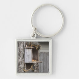 Schlüsselkette Schlüsselanhänger