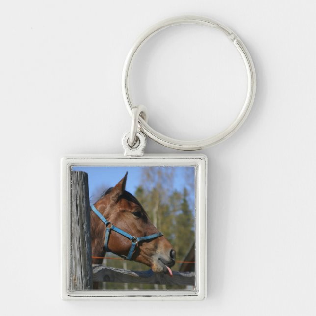 Schlüsselkette Schlüsselanhänger (Vorne)