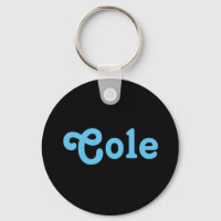 Schlüsselkette