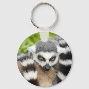 Schlüsselring - niedlicher Lemur Stripey Schwanz Schlüsselanhänger