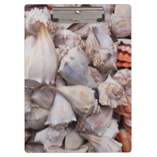 Schlüsselwesten, Muscheln Klemmbrett