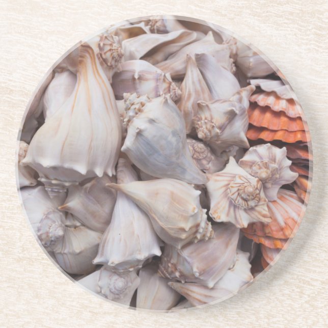 Schlüsselwesten, Muscheln Sandstein Untersetzer (Vorne)