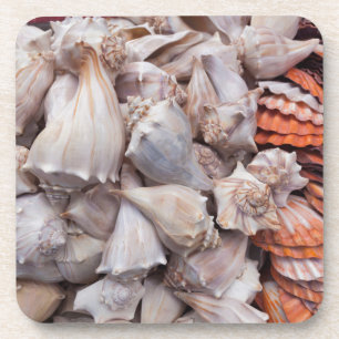 Schlüsselwesten, Muscheln Untersetzer