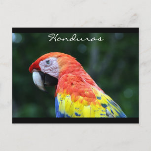 Schmalbandgrenze Postkarte