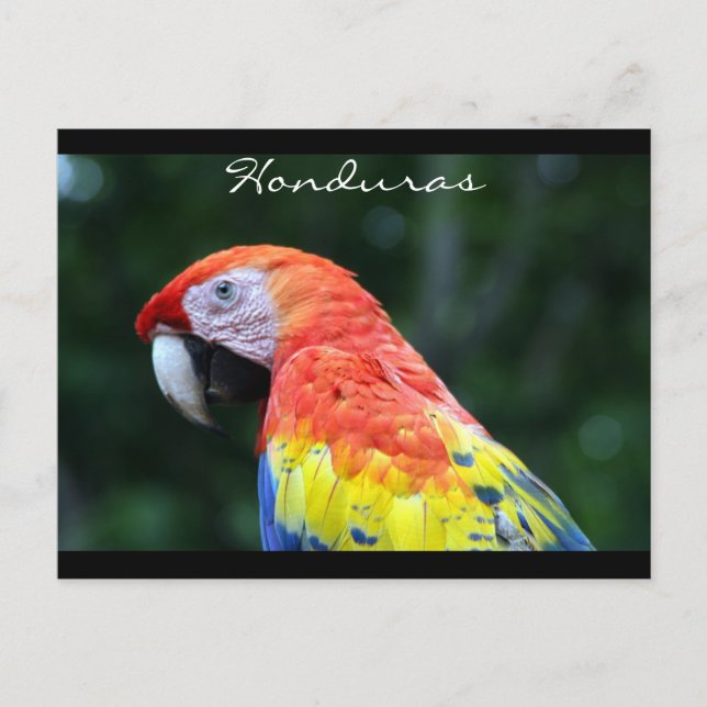 Schmalbandgrenze Postkarte (Vorderseite)