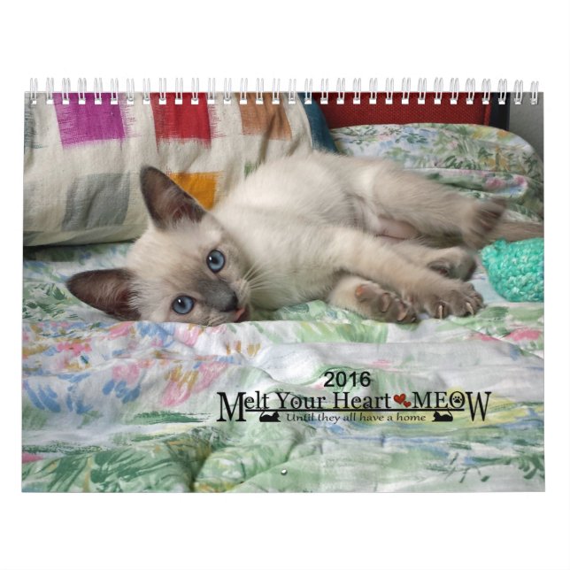 Schmelzen Sie Ihr Herz - MEOW Kätzchen-Kalender Kalender (Titelbild)