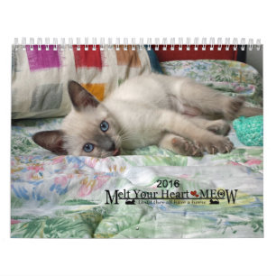 Schmelzen Sie Ihr Herz - MEOW Kätzchen-Kalender Kalender