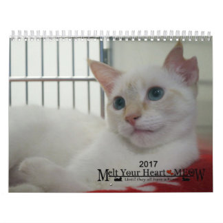 Schmelzen Sie Ihr Herz - MEOW Kätzchen-Kalender Kalender