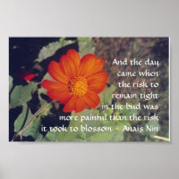 Schmerzen und Risiken - Anais Nin - Plakat