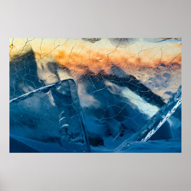 Schmetterglas Poster (Vorne)