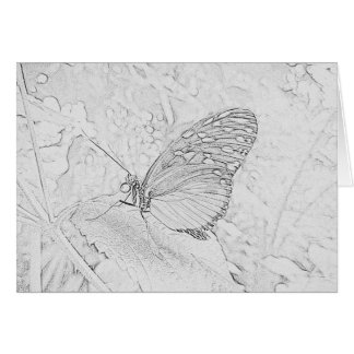 Schmetterling