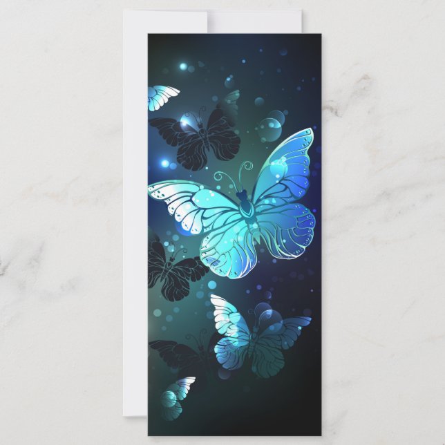 Schmetterling (Vorderseite)