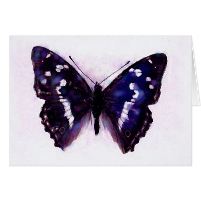 Schmetterling (Vorderseite (Horizontal))