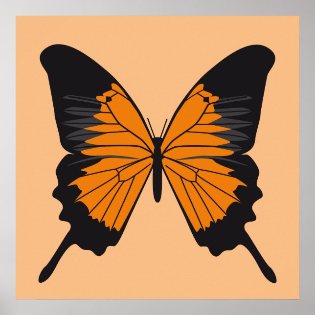 Schmetterling1 Poster (Vorne)