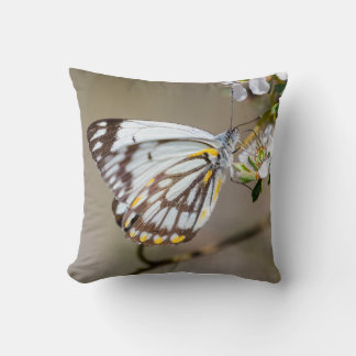 Schmetterling 1 Kissen