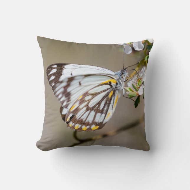 Schmetterling 1 Kissen (Vorderseite)