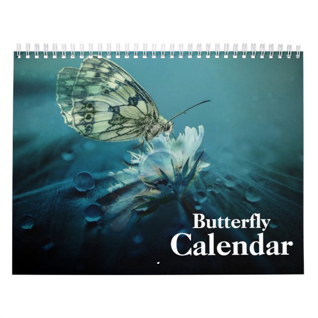 Schmetterling 2025 kalender (Titelbild)