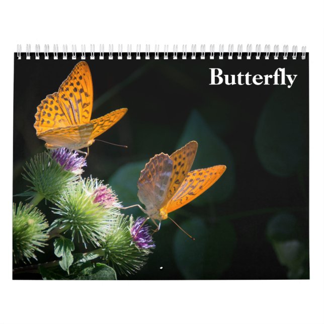 Schmetterling 2025 kalender (Titelbild)
