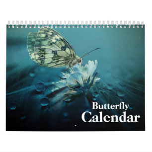 Schmetterling 2027 kalender