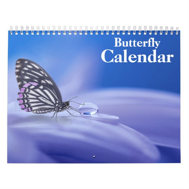 Schmetterling 2027 kalender (Titelbild)