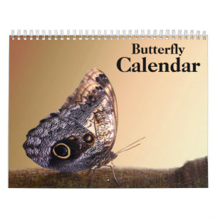 Schmetterling 2027 kalender