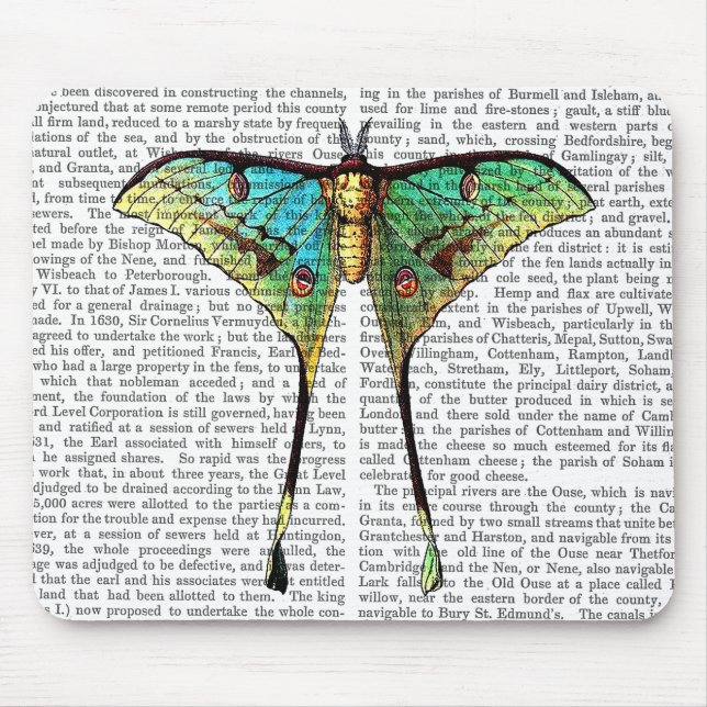 Schmetterling 2 mousepad (Vorne)