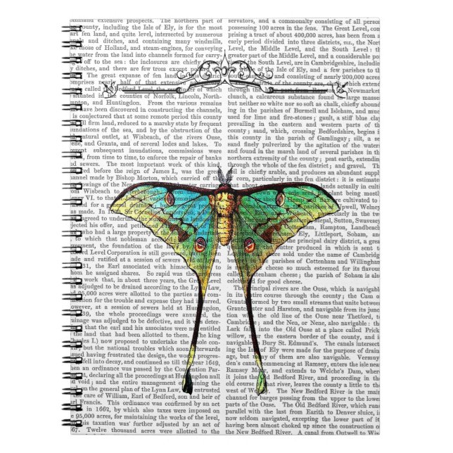 Schmetterling 2 notizblock (Vorderseite)