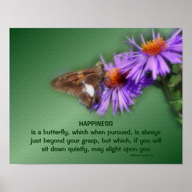 Schmetterling 5 Glück Inspiration Zitat Natur Poster (Vorne)