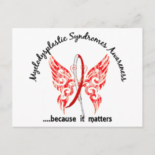 Schmetterling 6,1 MDS Postkarte