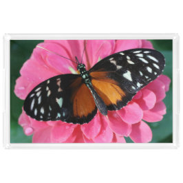 Schmetterling Acryl Tablett