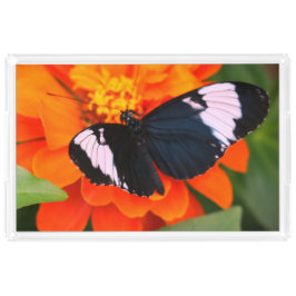 Schmetterling Acryl Tablett