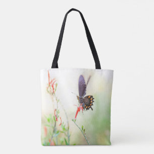 Schmetterling am Nachmittag