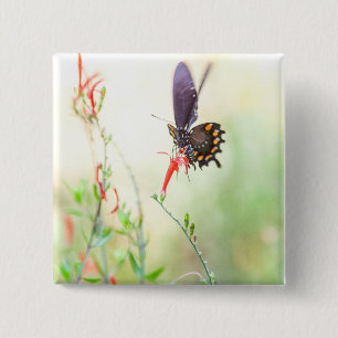 Schmetterling am Nachmittag Button