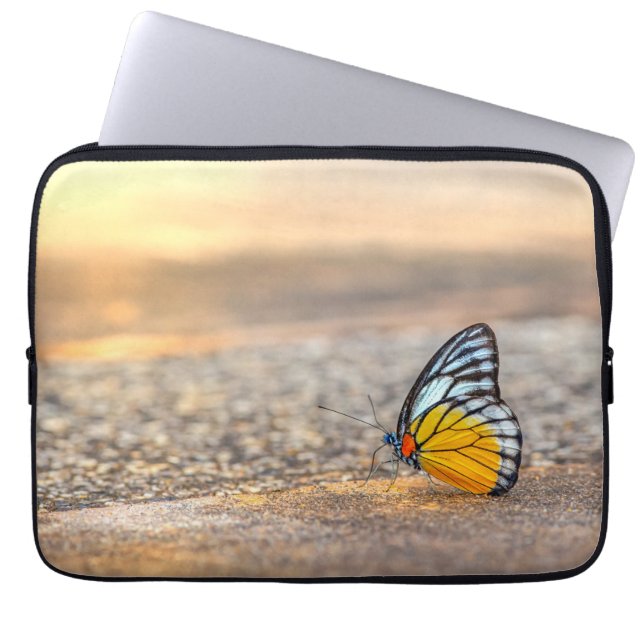 Schmetterling am Strand Laptopschutzhülle (Vorderseite)