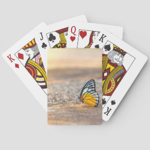 Schmetterling am Strand Spielkarten
