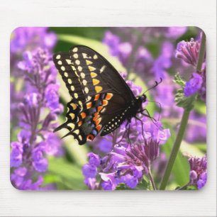 Schmetterling - Amerikanischer Schwalbenschwanz au Mousepad