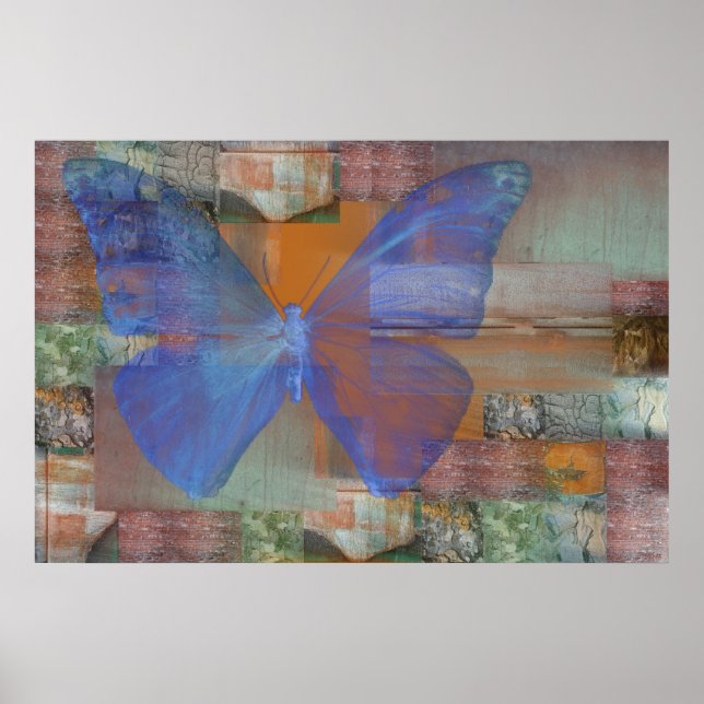 Schmetterling an der Mauer Poster (Vorne)